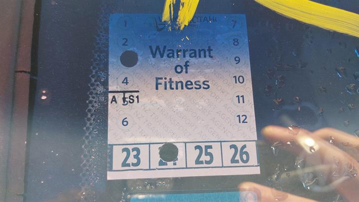 Lazy Owl Image