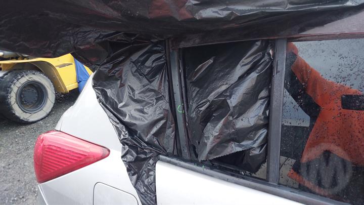 Lazy Owl Image
