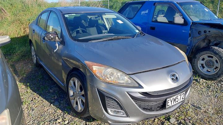 Lazy Owl Image