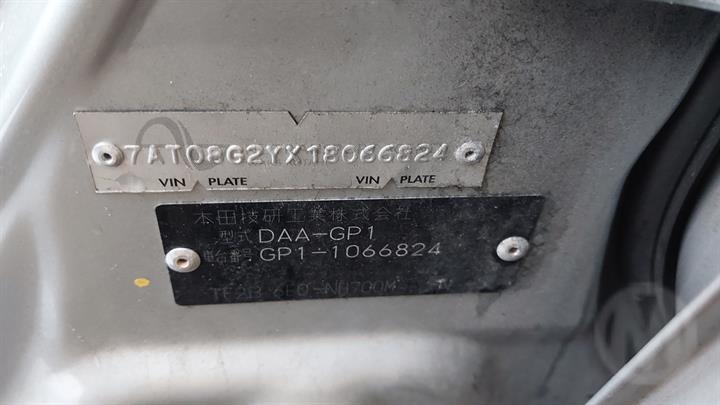 Lazy Owl Image