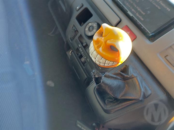 Lazy Owl Image