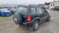 Lazy Owl Image