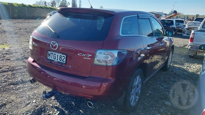 Lazy Owl Image