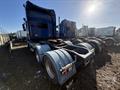 Lazy Owl Image
