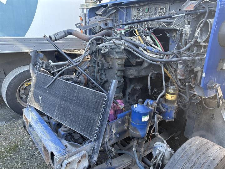 Lazy Owl Image