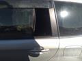 Lazy Owl Image