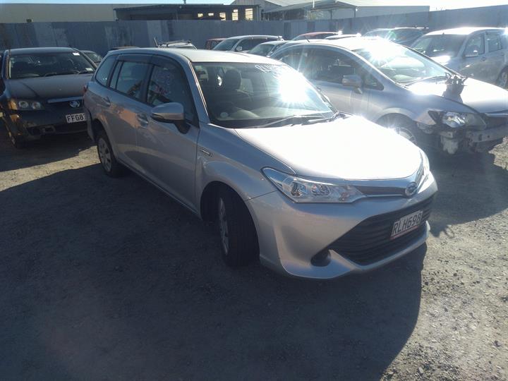Lazy Owl Image