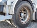 Lazy Owl Image