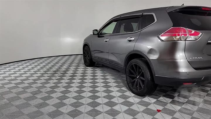 Lazy Owl Image