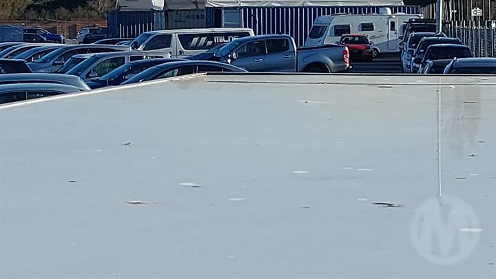 Lazy Owl Image