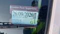 Lazy Owl Image