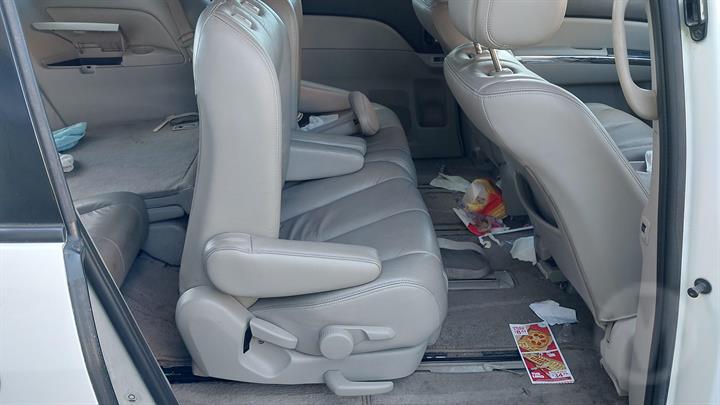 Lazy Owl Image