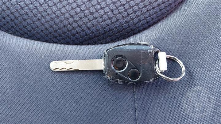 Lazy Owl Image