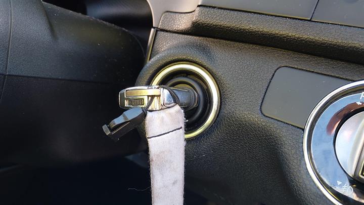 Lazy Owl Image