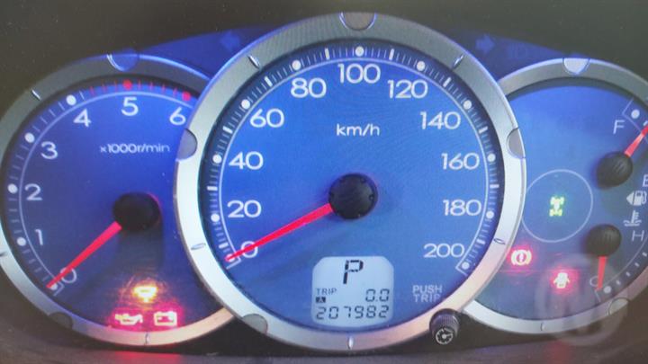 Lazy Owl Image