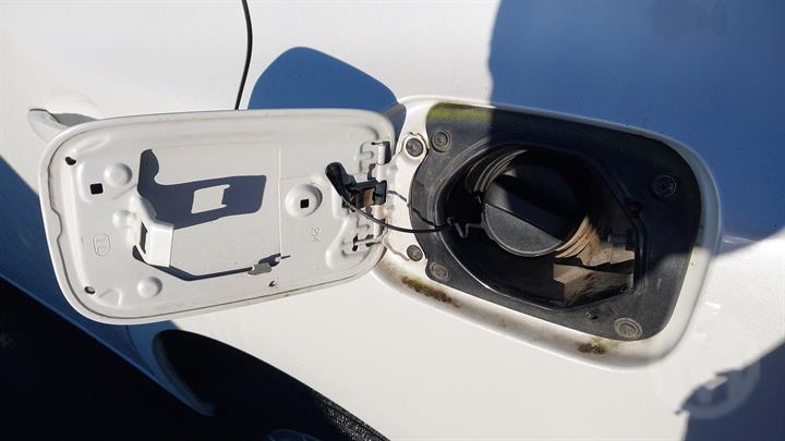 Lazy Owl Image