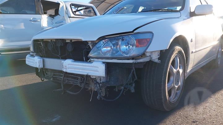 Lazy Owl Image