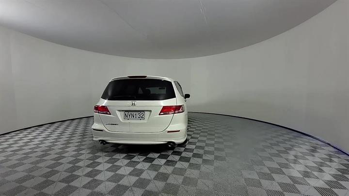 Lazy Owl Image