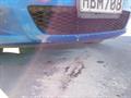 Lazy Owl Image