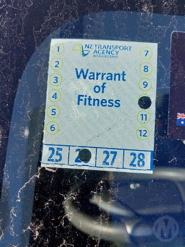 Lazy Owl Image