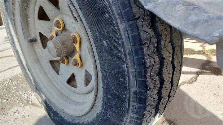 Lazy Owl Image