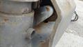 Lazy Owl Image