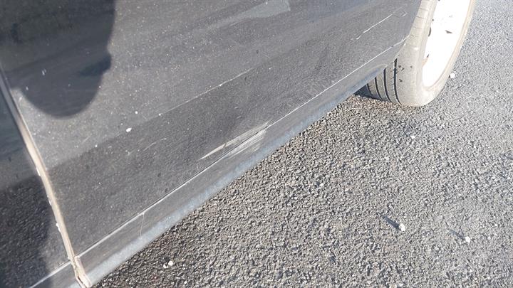 Lazy Owl Image