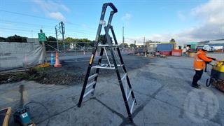 Easy Access Ladder Photo