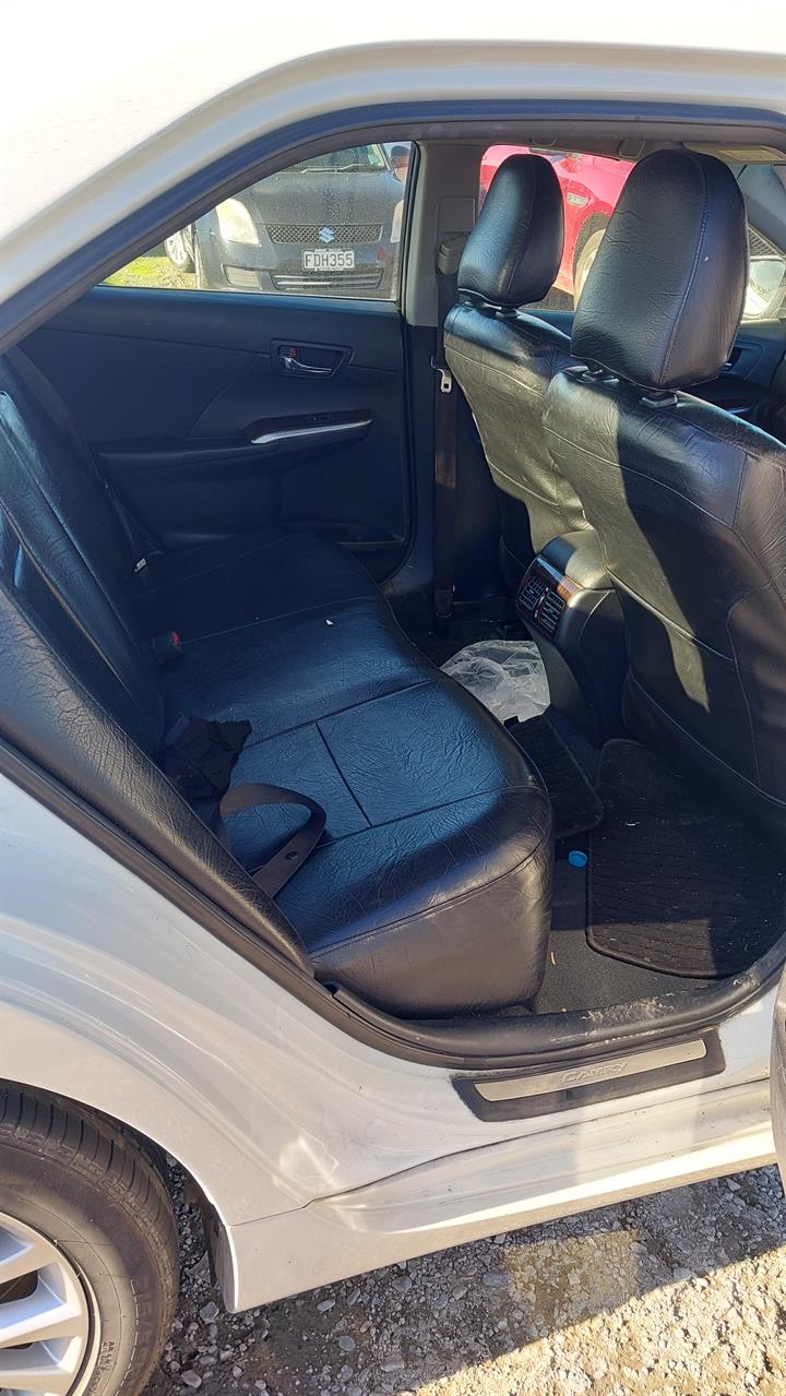 Lazy Owl Image