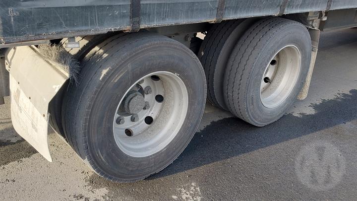 Lazy Owl Image