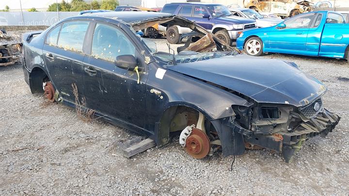 Lazy Owl Image