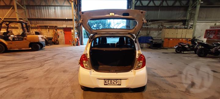 Lazy Owl Image