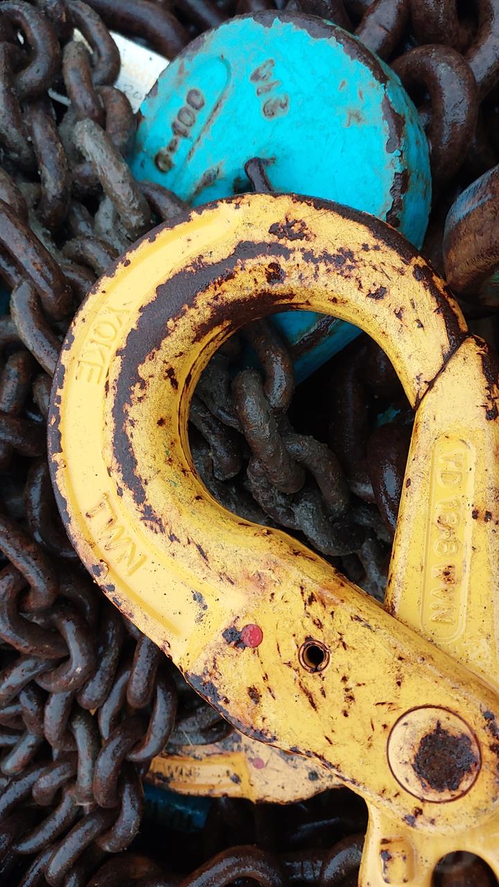 Lazy Owl Image