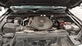 Lazy Owl Image