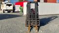 Lazy Owl Image