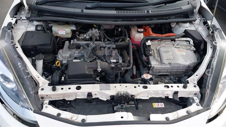 Lazy Owl Image