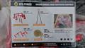 Lazy Owl Image