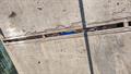 Lazy Owl Image