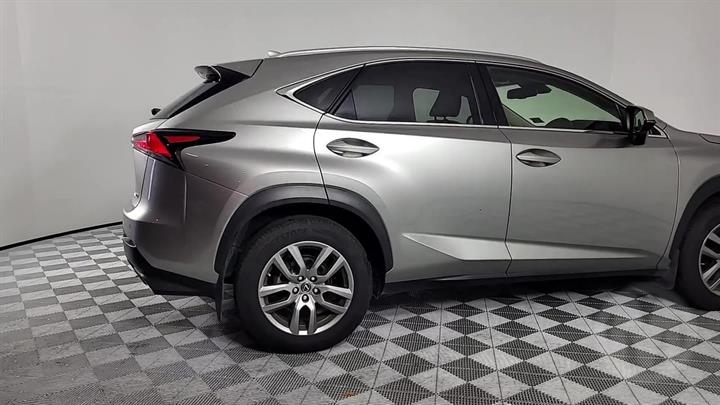 Lazy Owl Image