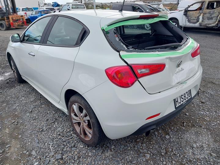 Lazy Owl Image