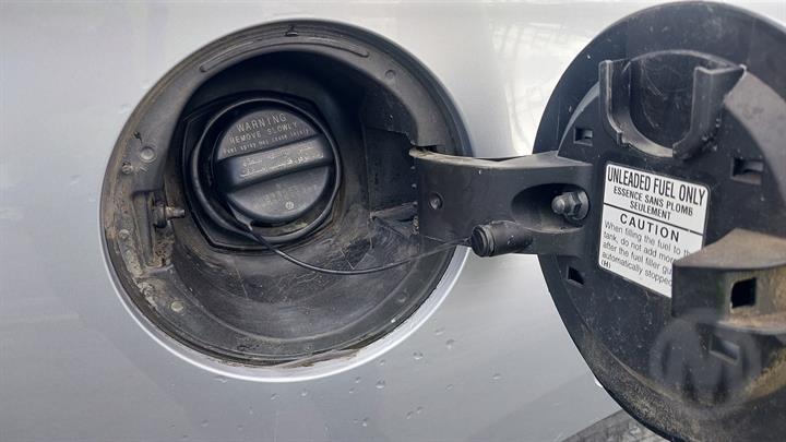 Lazy Owl Image