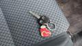 Lazy Owl Image