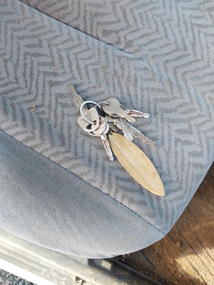 Lazy Owl Image
