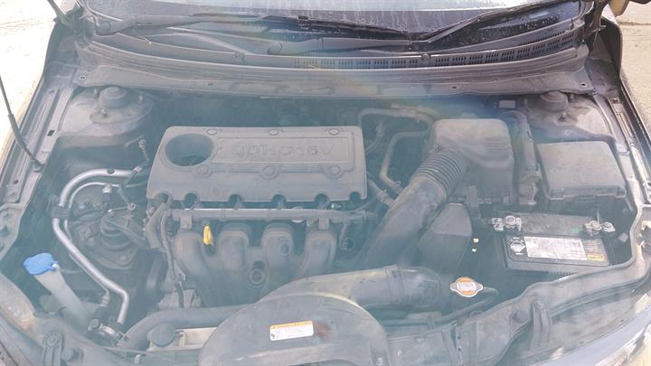 Lazy Owl Image