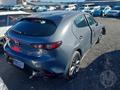 Lazy Owl Image