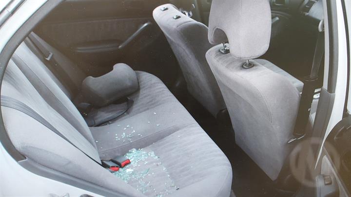 Lazy Owl Image