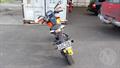 Lazy Owl Image