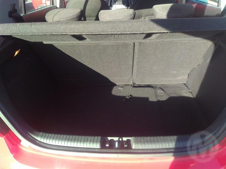 Lazy Owl Image