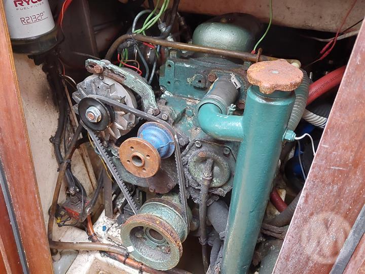 Lazy Owl Image