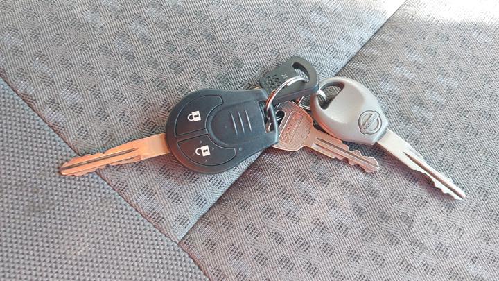 Lazy Owl Image